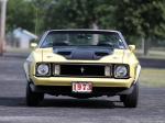 Ford Mustang Convertible 1973 года
